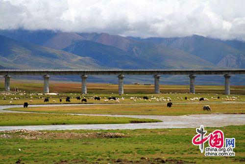 青藏铁路旅游专列6月开始